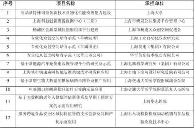 2017年上海市科技發展專項資金擬資助項目全透視 技術服務的創新引擎